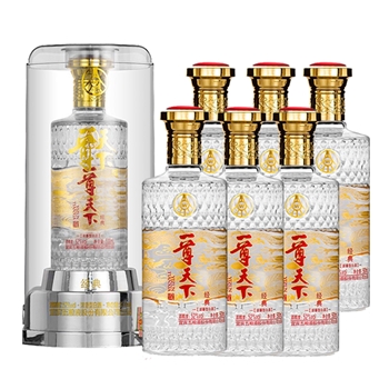 五粮液 一尊天下经典亚克力 整箱装